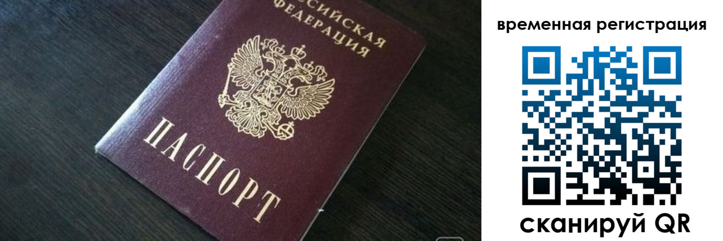 прописка штамп в Ясном